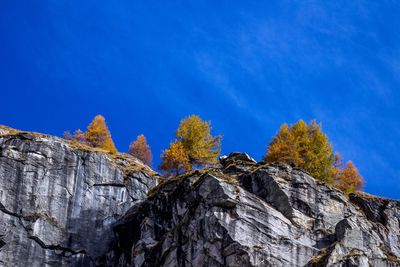 Colori autunnali con sfondo blu. autumn colors with blue background.