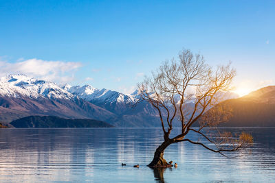 Scenic view of lake by snowcapped mountains against sky