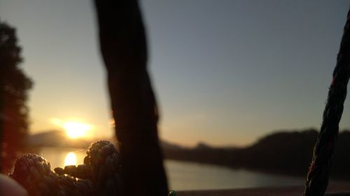 Close-up of silhouette tree against sea during sunset