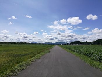 Road amidst agricultural field against sky