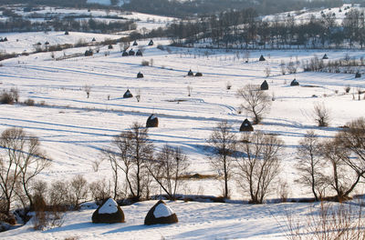 Scenic view of snow covered field
