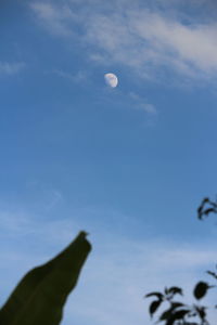 Low angle view of moon in sky