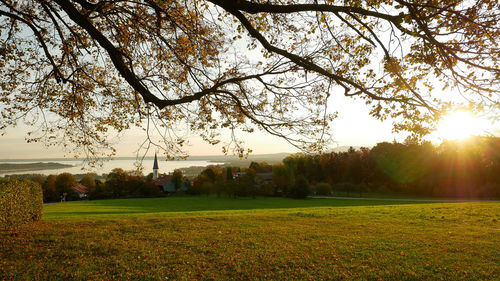 Scenic view of field against sky during sunset