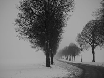 Road amidst trees during winter