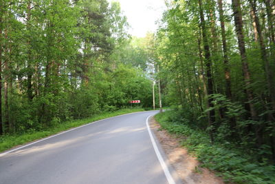 Road amidst trees in forest