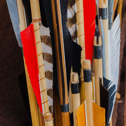 Close-up of archery bows