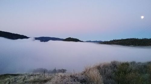 Scenic view of lake against clear sky during winter