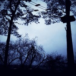 Low angle view of bare trees against sky