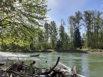 Scenic view of river in forest against sky