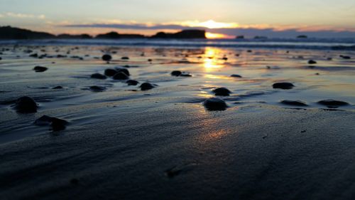 Scenic view of sea at sunset
