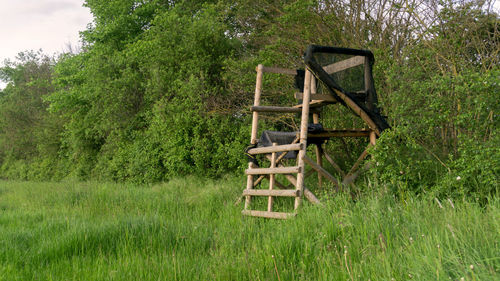 Barn on field against trees in forest