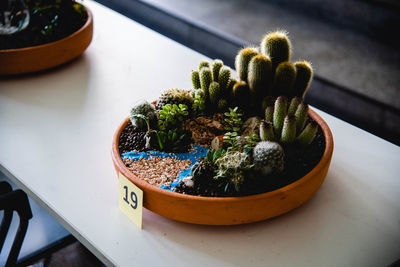 High angle view of potted plants on table