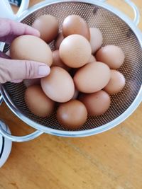 High angle view of eggs on table