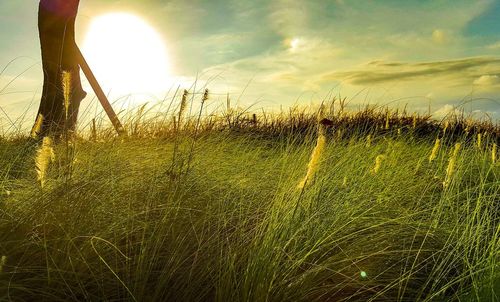 Scenic view of grassy field against sky during sunset