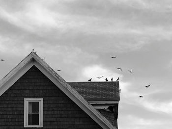 Low angle view of birds flying against building