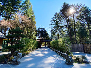 Footpath amidst trees against sky in park