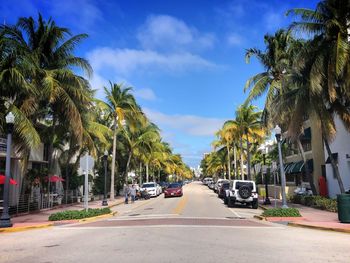 Cars on road by palm trees against sky in city