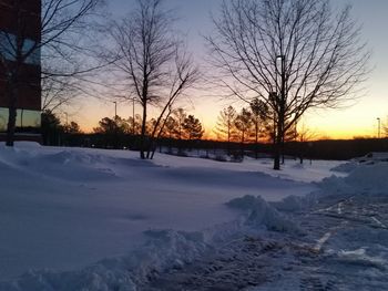 Snow covered trees on field