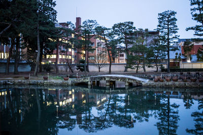 Reflection of trees in water