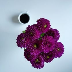 Close-up of flower over white background