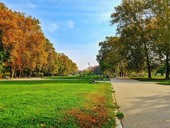 Trees on field against sky during autumn