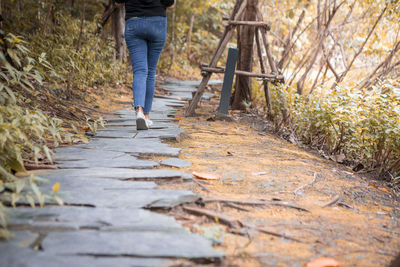 Low section of person walking on footpath