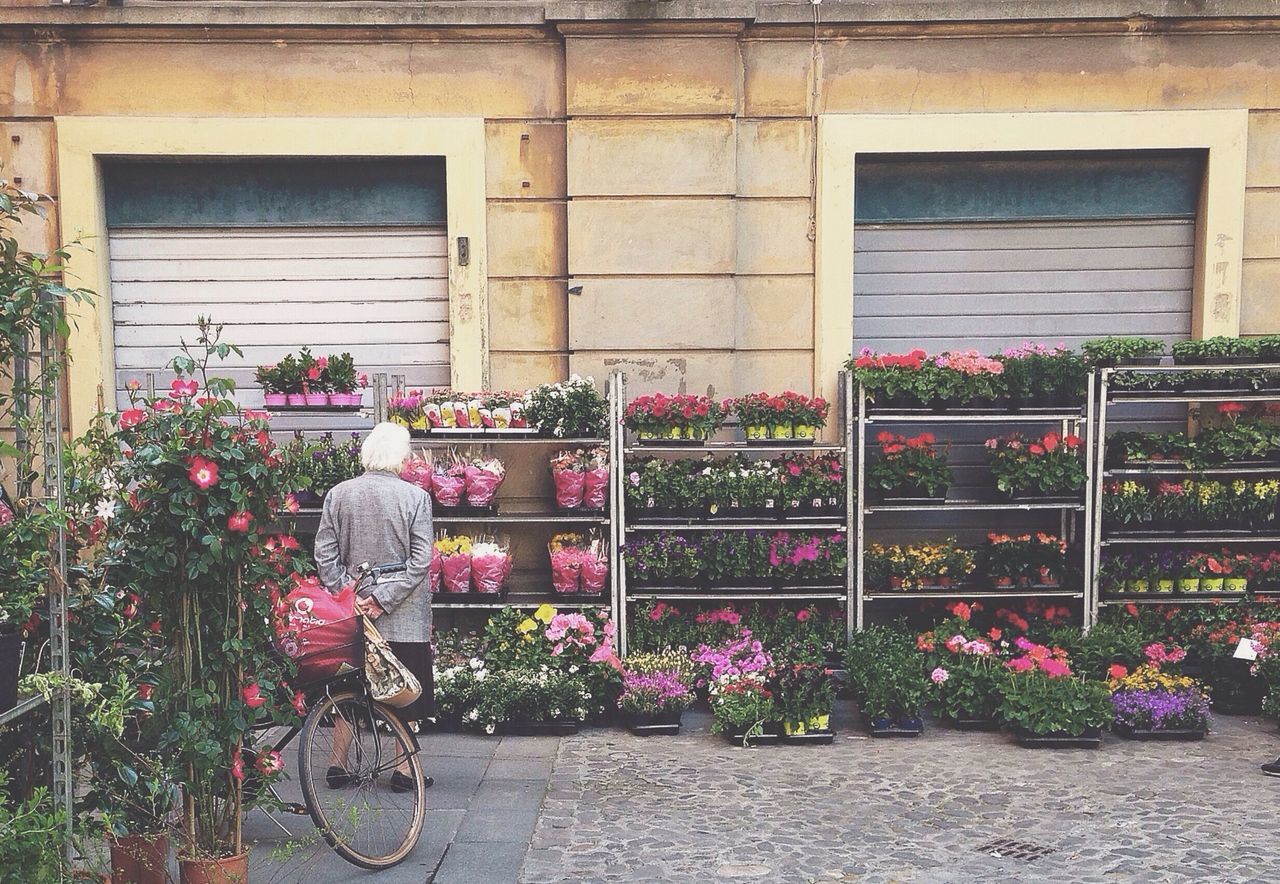 building exterior, architecture, built structure, plant, bicycle, window, flower, potted plant, house, growth, day, wall - building feature, transportation, outdoors, one person, wall, residential structure, sidewalk, closed, parked