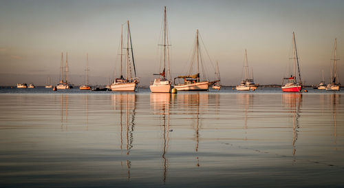 Sailboats moored in harbor against sky