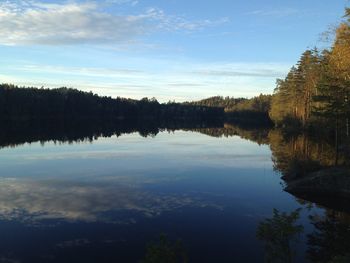 Reflection of trees in calm lake