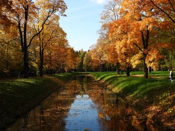 Canal amidst trees in park during autumn