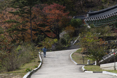 Rear view of people walking on road