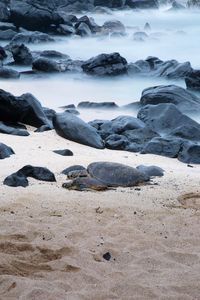 Scenic view of beach against sky