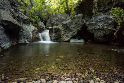 Scenic view of waterfall in forest