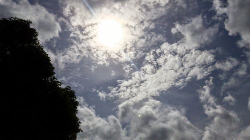 Low angle view of trees against cloudy sky