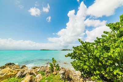 Scenic view of sea against sky