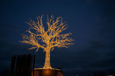 Low angle view of illuminated tree against sky at night