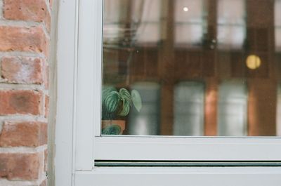 Close-up of window on wall