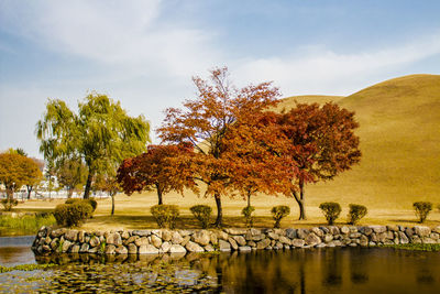 View of birds on lake during autumn