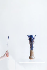 Hand holding umbrella against white background