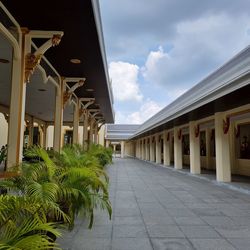 Footpath amidst palm trees and buildings against sky