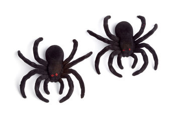 Close-up of black background