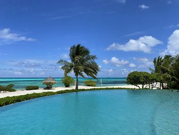 Scenic view of sea against sky with palm tree blowing in the wind