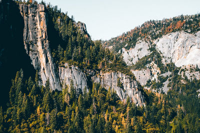 Plants growing on rocks against sky