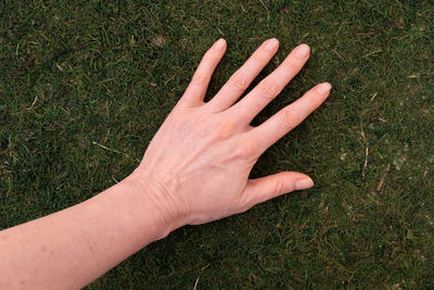 Low section of person on grassy field