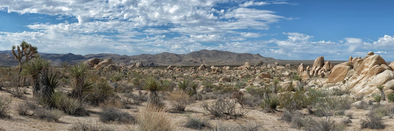 Panoramic view of a desert
