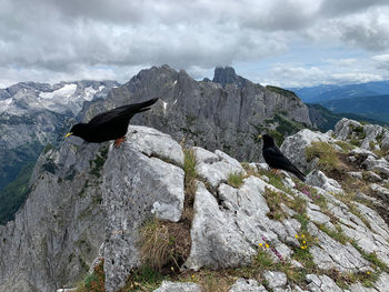 Scenic view of mountain range against sky
