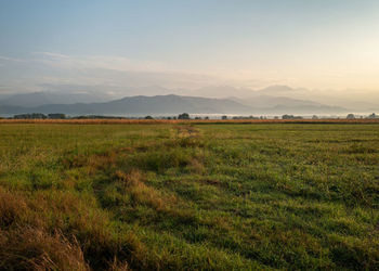 Scenic view of field against sky during sunset