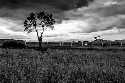 Scenic view of field against cloudy sky