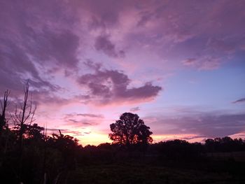 Silhouette trees on field against sky at sunset