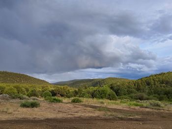 Scenic view of landscape against sky